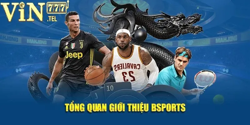 Tổng quan thông tin về chuyên mục B-Sports VIN777